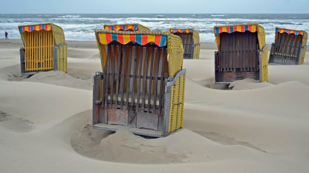 Zeesterflat 117 Egmond aan Zee Eksteriør bilde